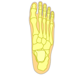 top of the foot pain